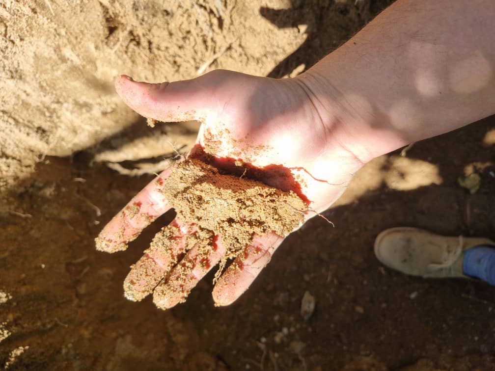 image of soil in hand